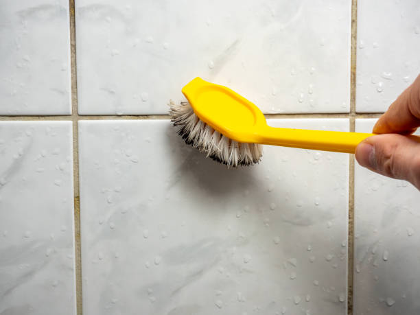 Best Post-Flood Mold Remediation in Dublin, TX