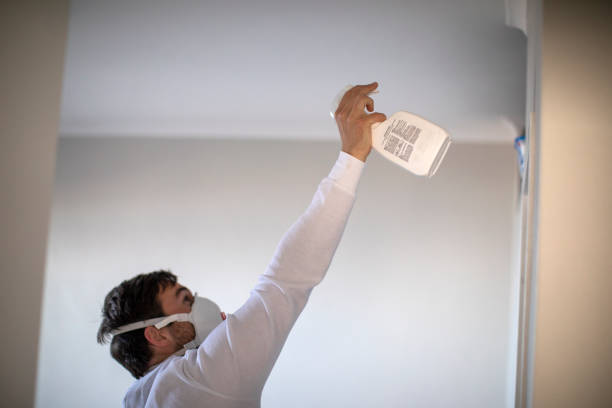 Professional Mold Remediation in Dublin, TX