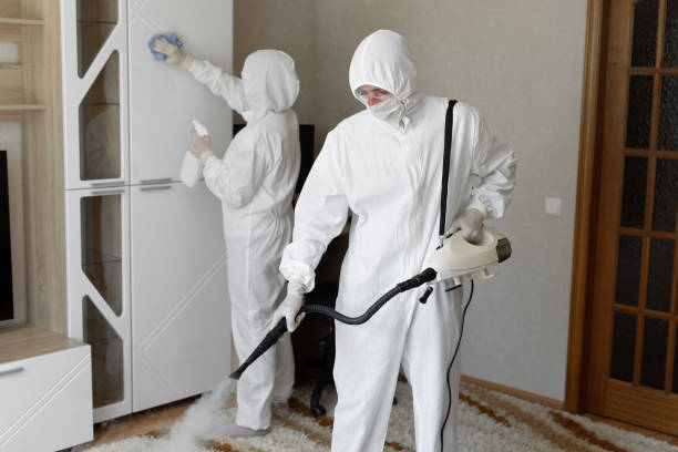 Best Residential Mold Remediation in Dublin, TX