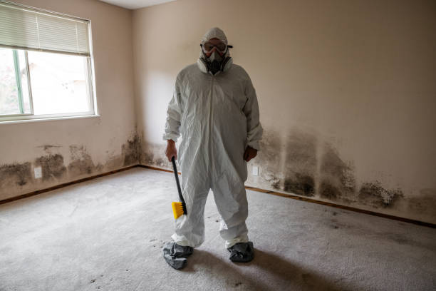 Best Mold Remediation for Specific Building Types in Dublin, TX